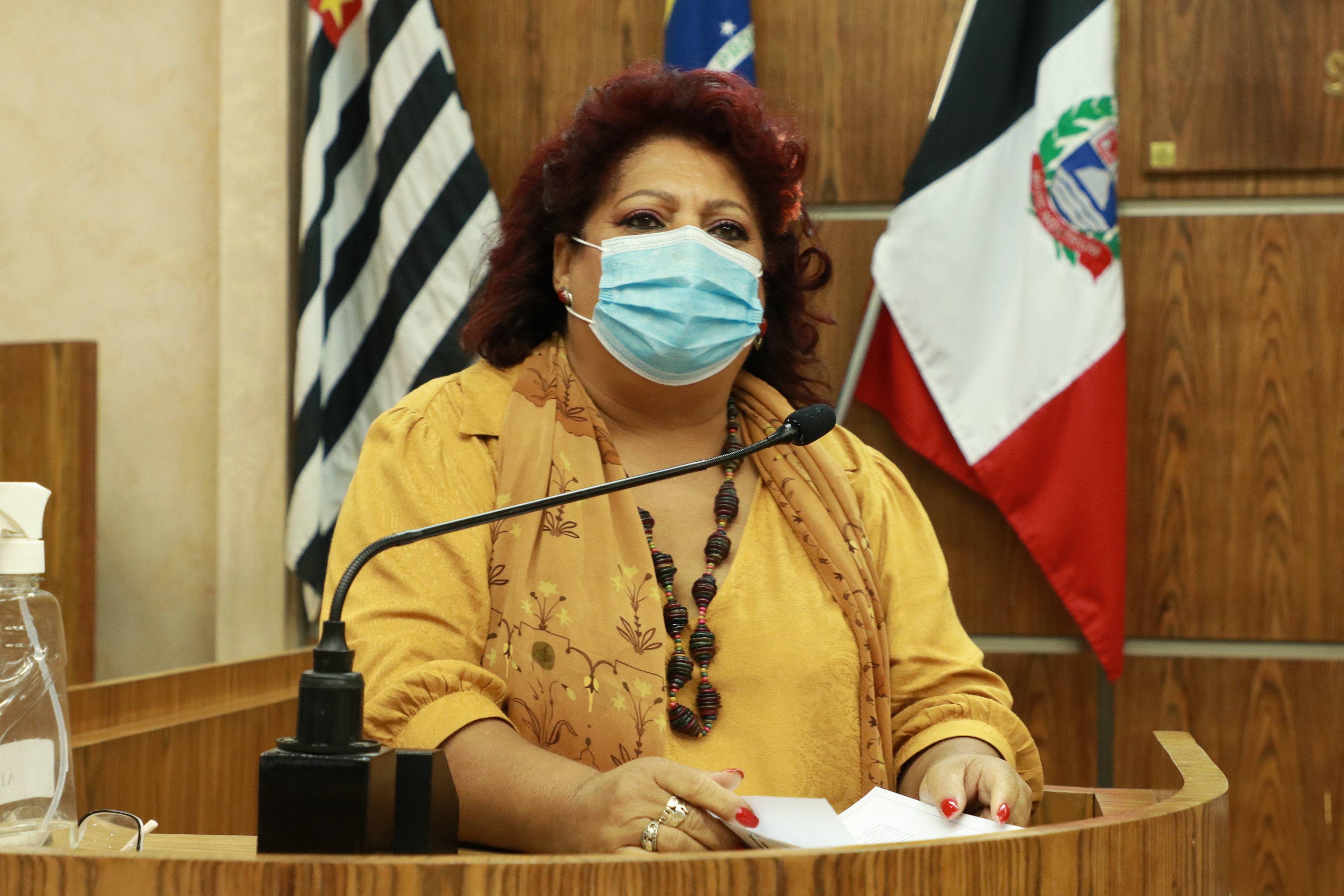 IMG_0079 - Cópia.JPG