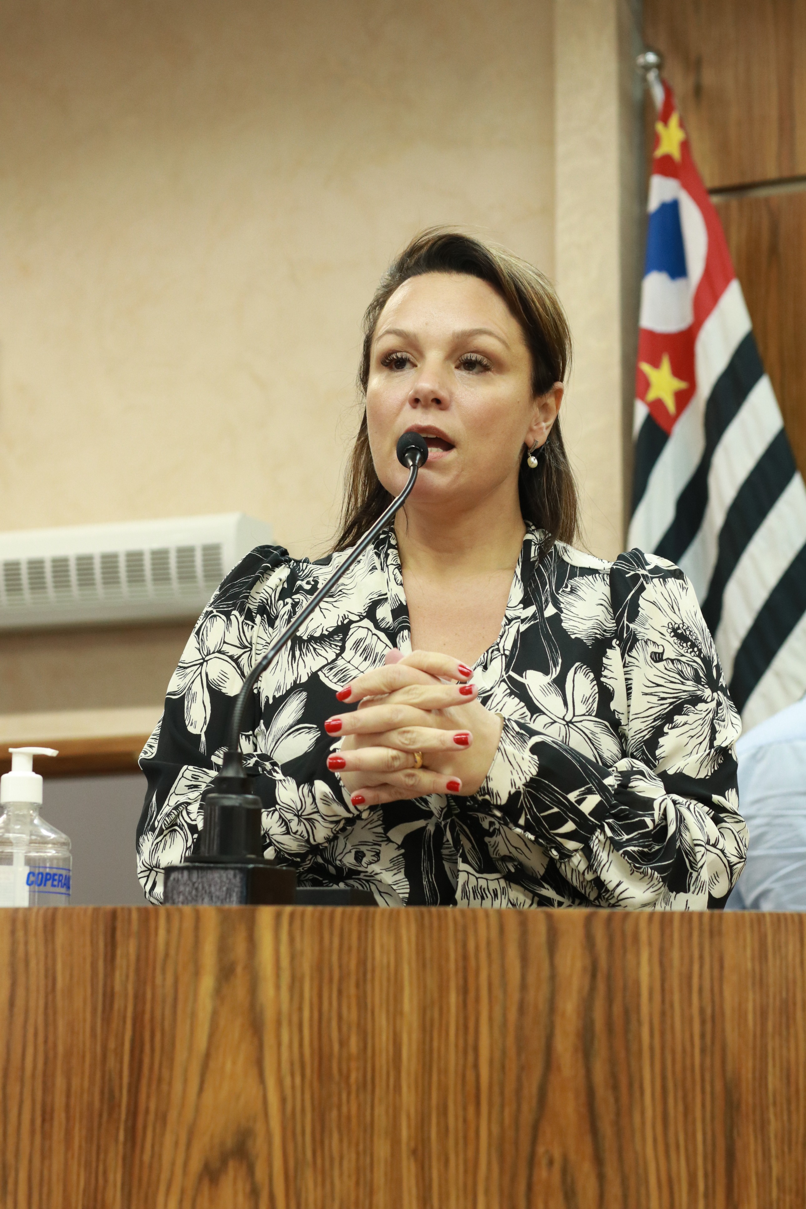 IMG_0160 - Cópia.JPG