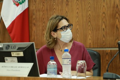 IMG_0011 - Cópia.JPG