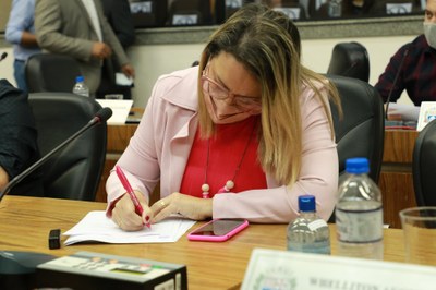 IMG_0087 - Cópia.JPG