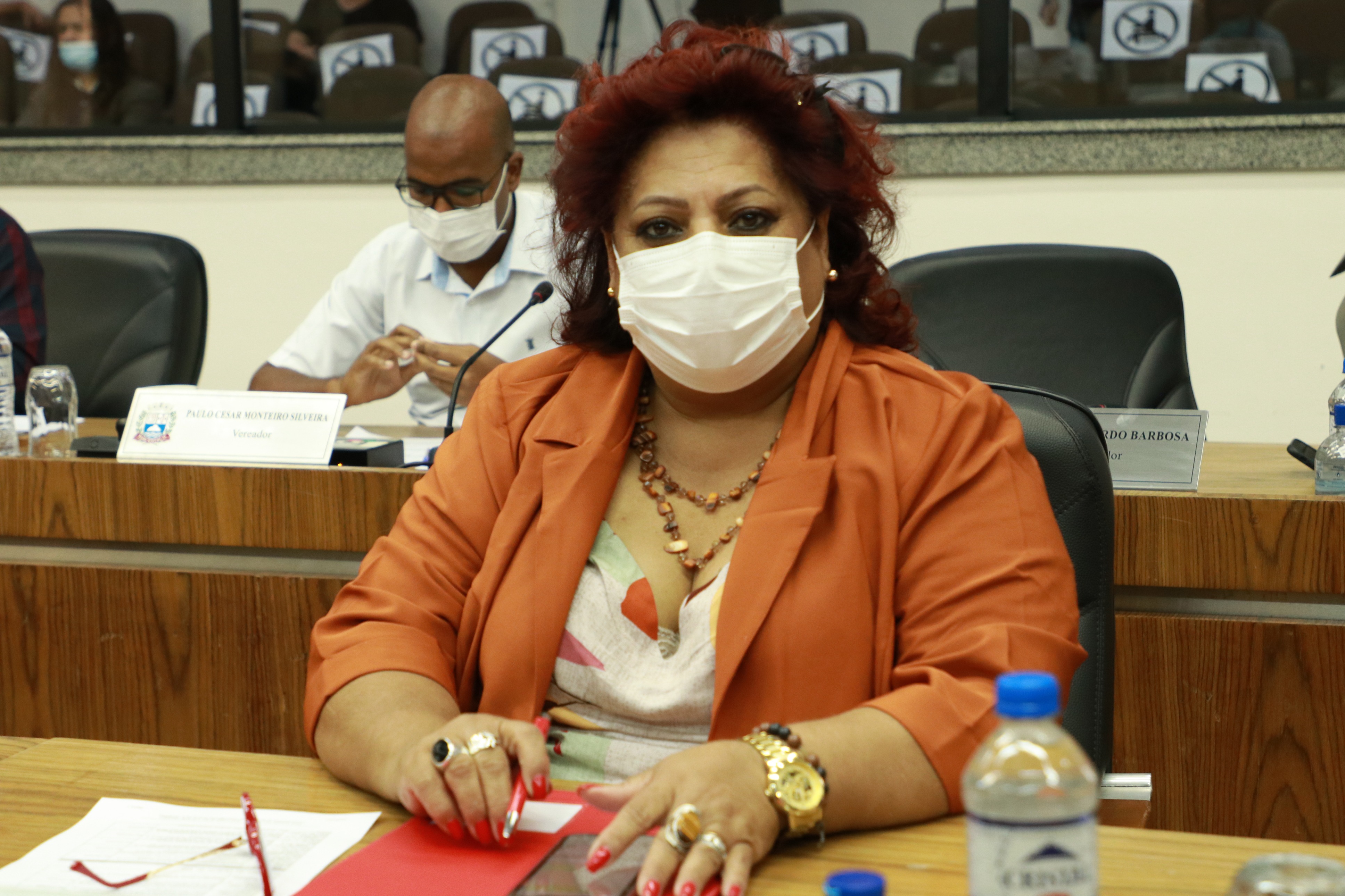 IMG_0093 - Cópia.JPG