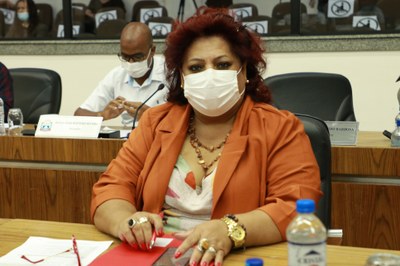 IMG_0093 - Cópia.JPG