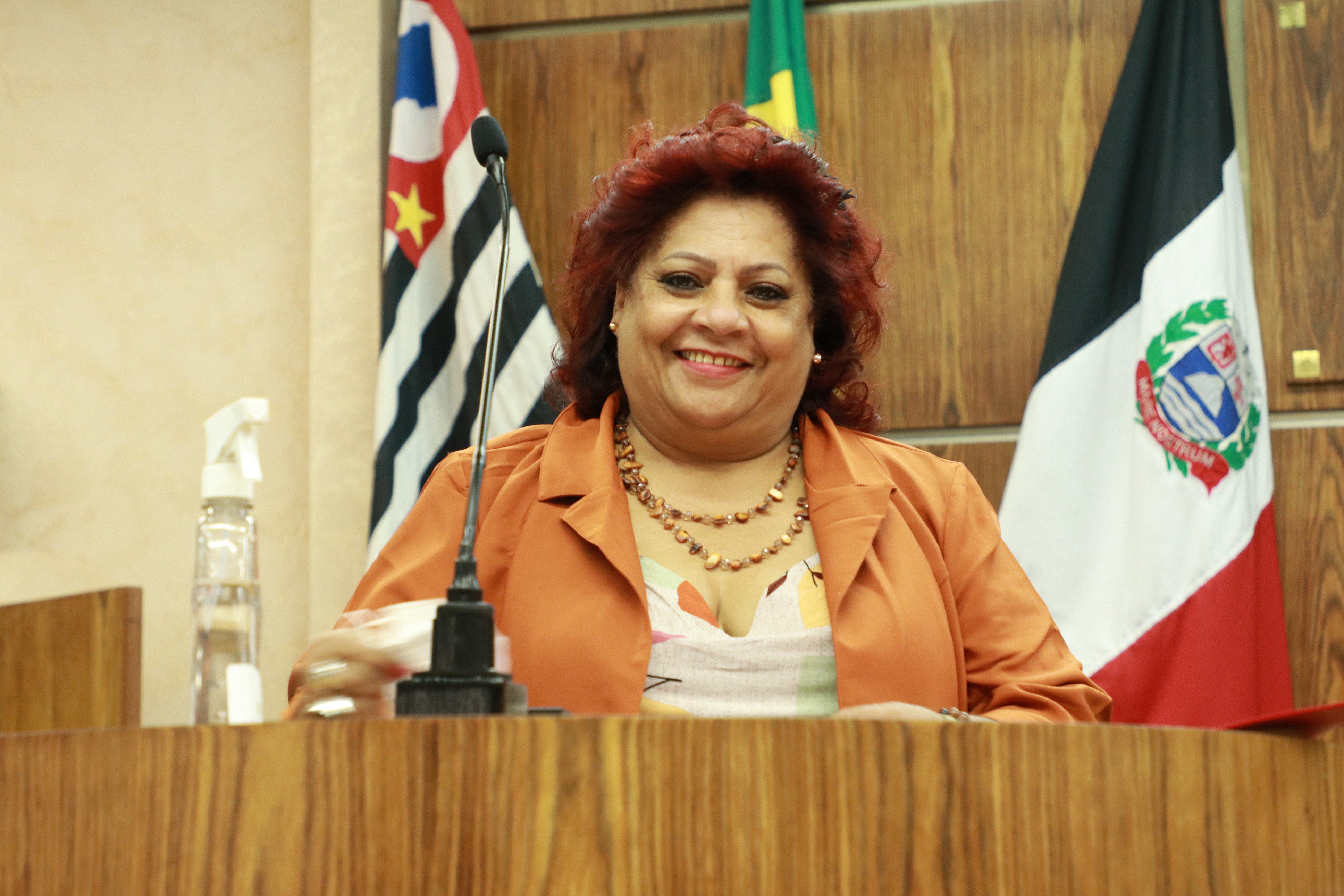 IMG_0136 - Cópia.JPG