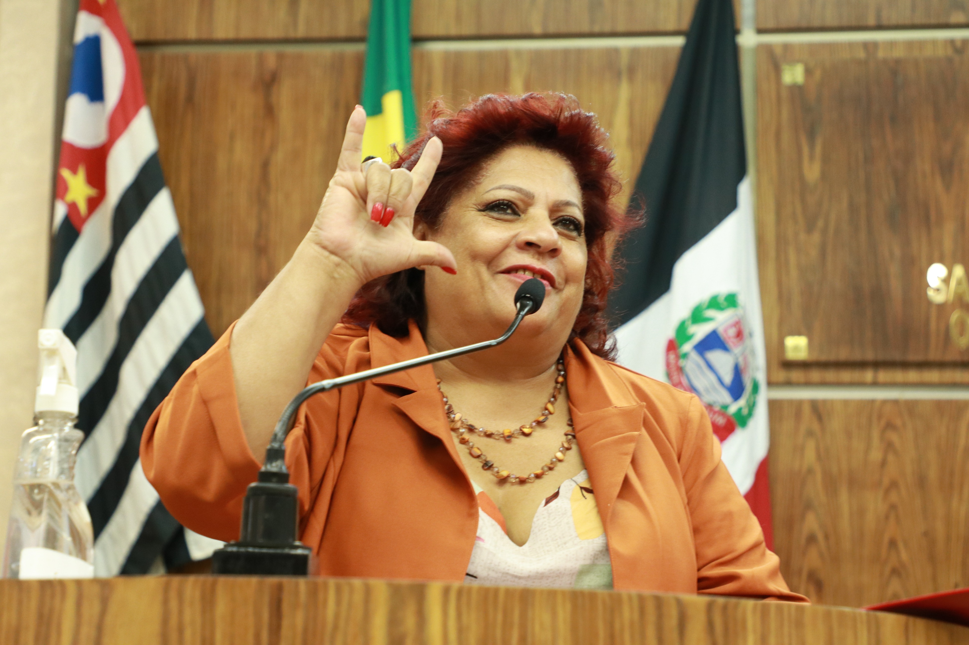 IMG_0142 - Cópia.JPG