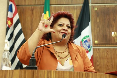 IMG_0142 - Cópia.JPG