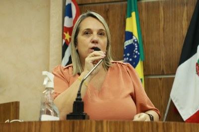 IMG_0318 - Cópia.JPG