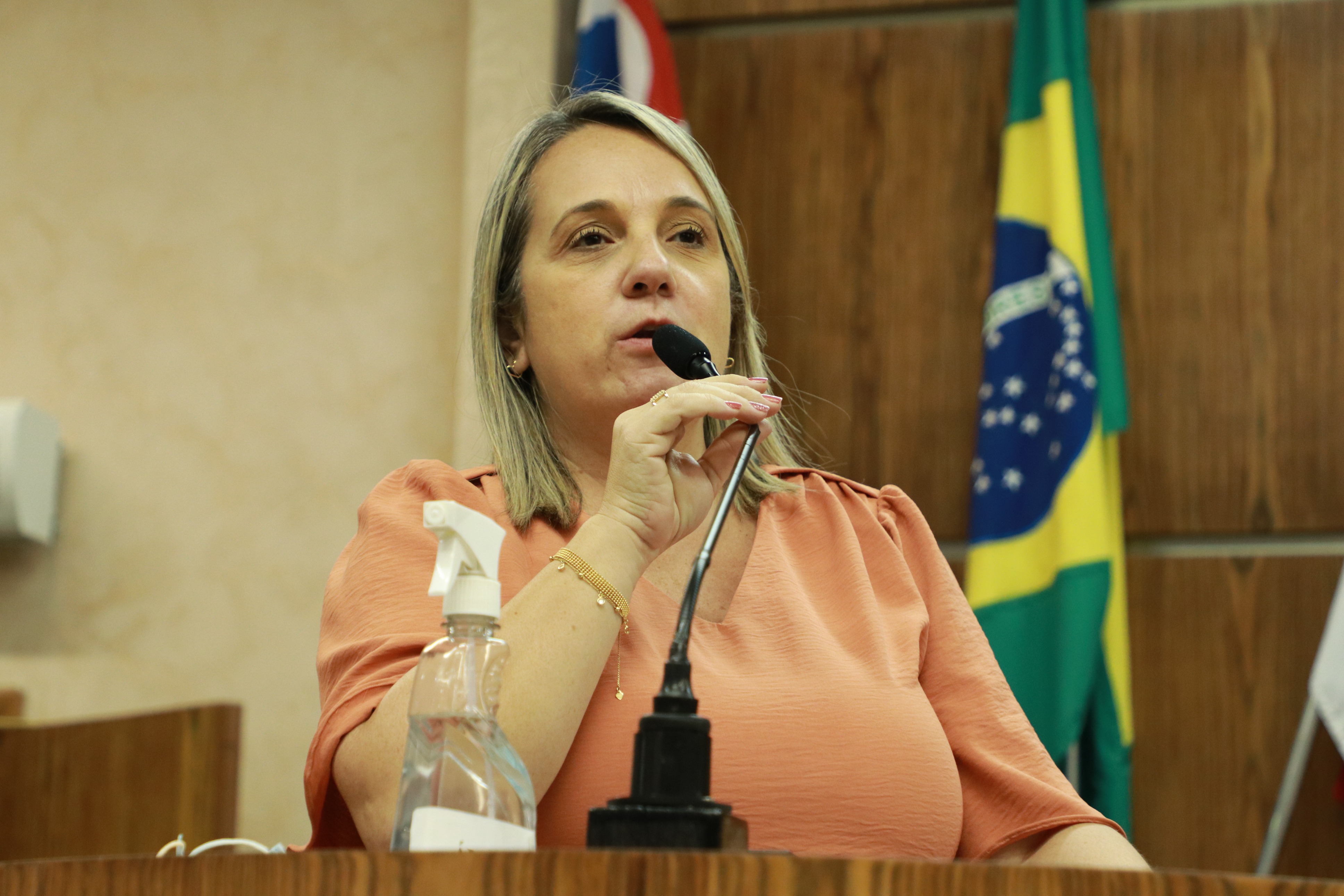 IMG_0323 - Cópia.JPG