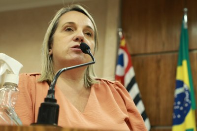 IMG_0331 - Cópia.JPG