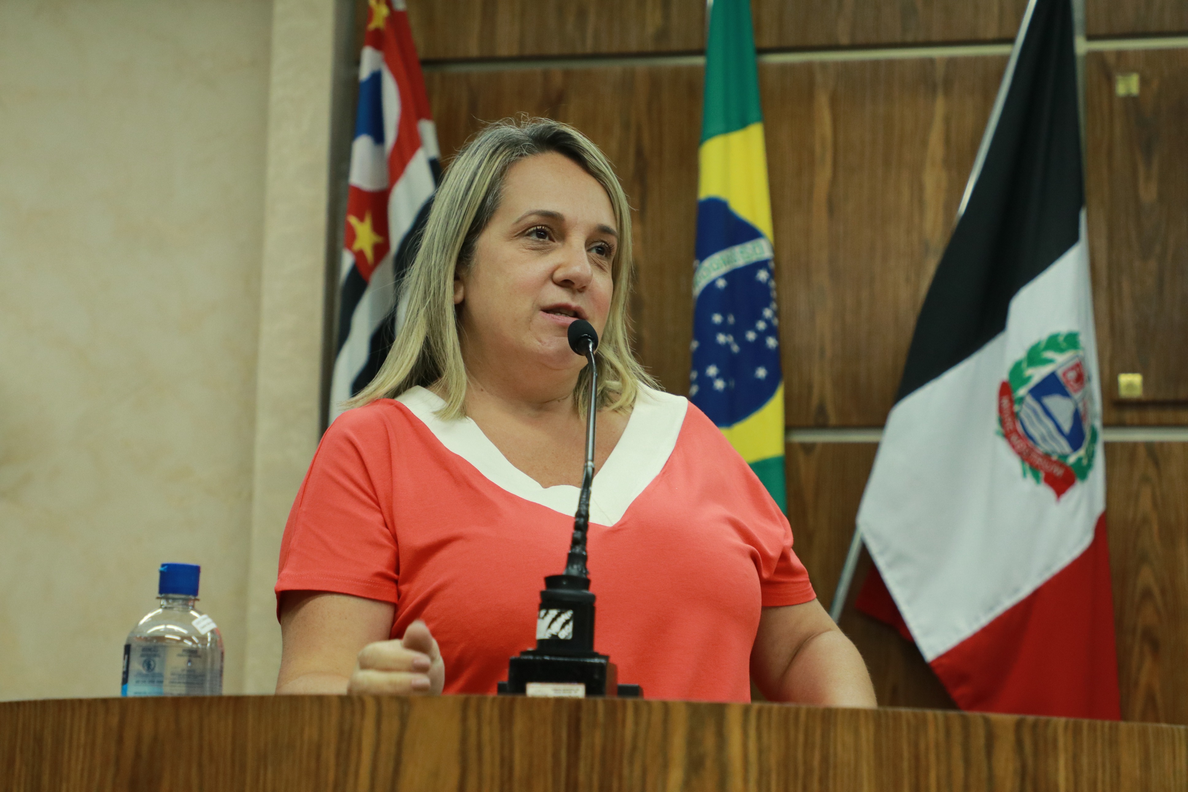 IMG_3818 - Cópia.JPG