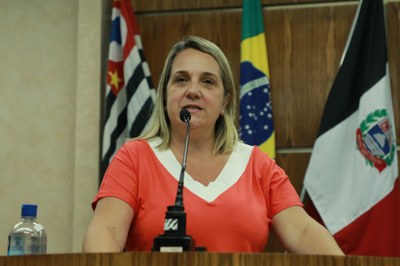 IMG_3821 - Cópia.JPG