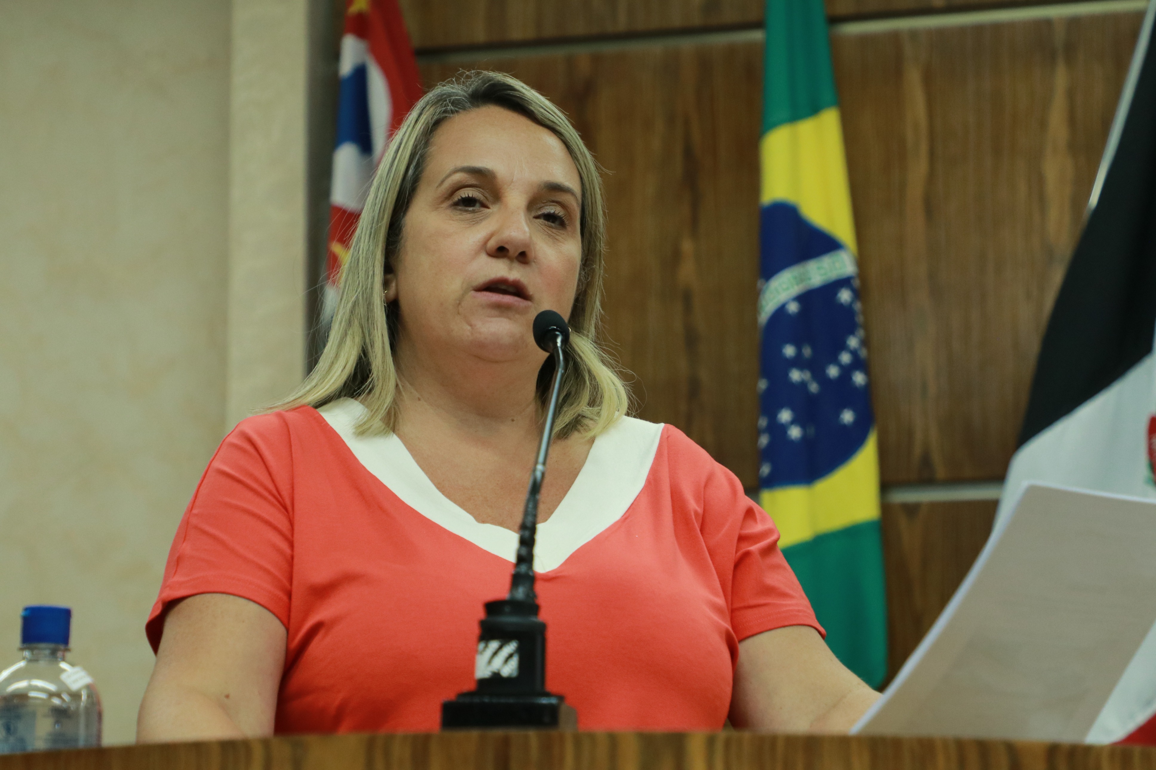 IMG_3825 - Cópia.JPG