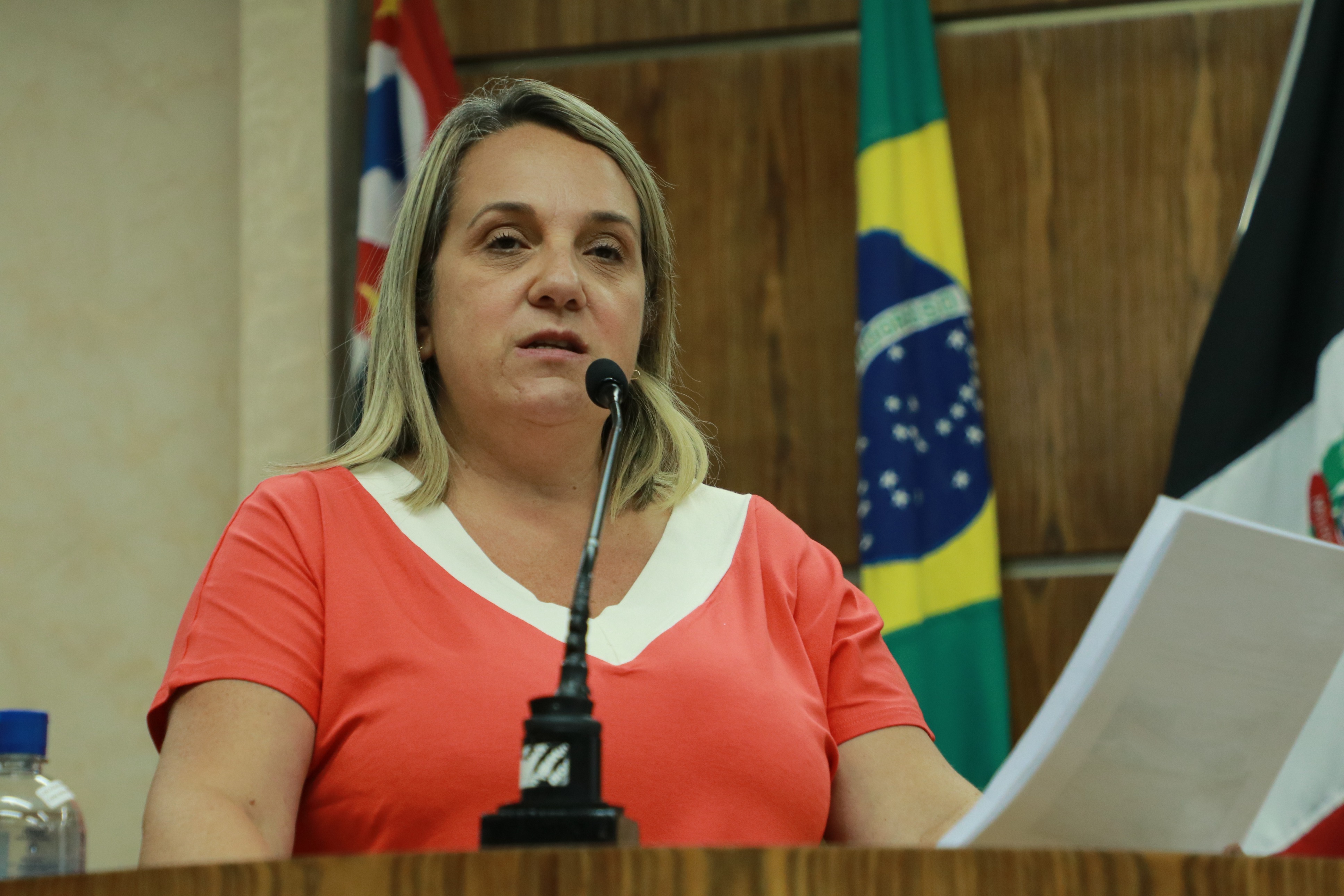 IMG_3829 - Cópia.JPG